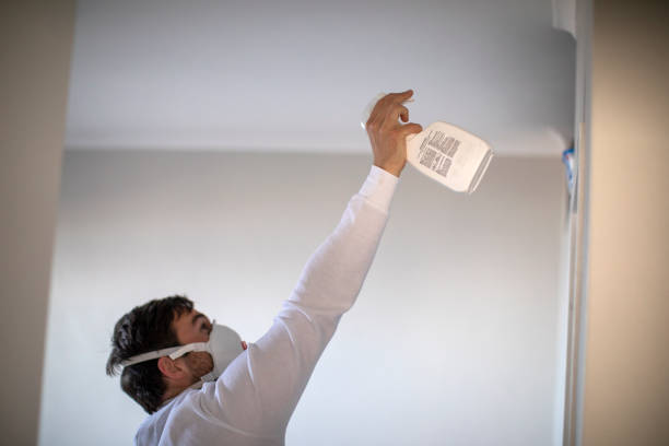 Best Residential Mold Remediation in Maynardville, TN